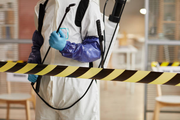 Professional Sewage Cleanup technician working in Ashton, MD